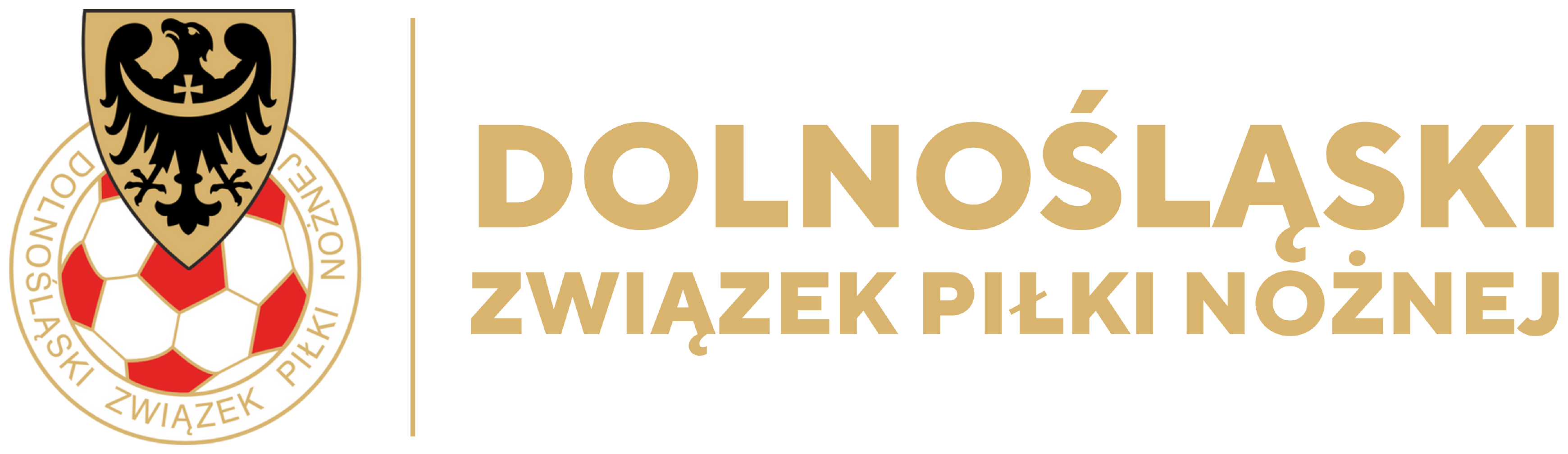 Dolnośląski Związek Piłki Nożnej